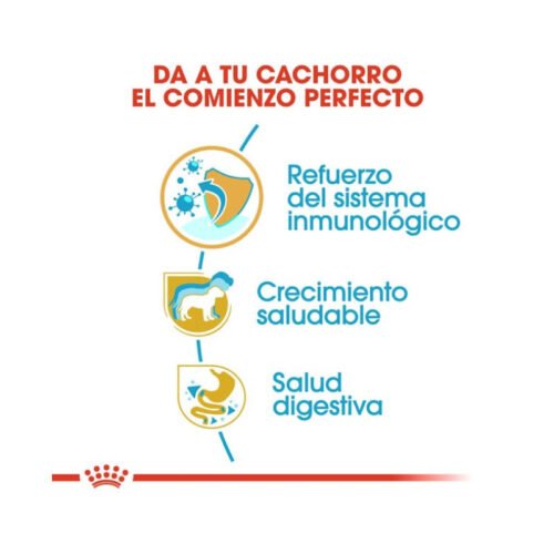 Royal Canin Jack Russell Terrier Puppy beneficios principales