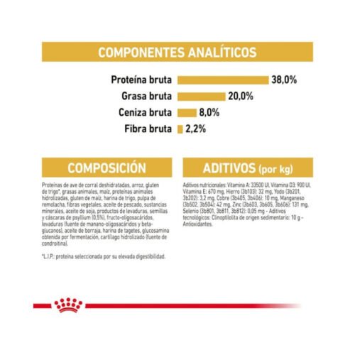 Detalle de folleto Royal Canin Kitten British Shorthair