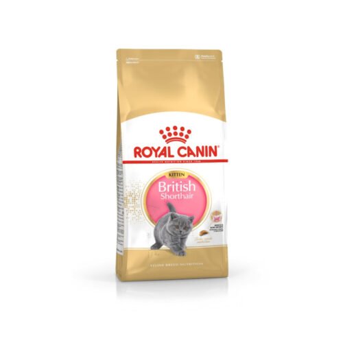Pack frontal del saco Royal Canin Kitten British Shorthair