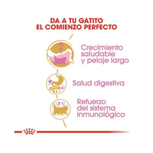 Royal Canin Kitten Persian beneficios clave para salud y pelaje