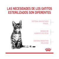 gatito esterilizado junto a texto sobre sus necesidades nutricionales