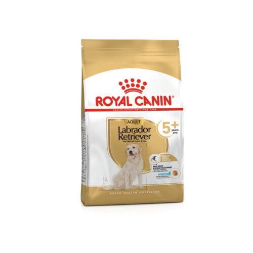 Royal Canin Labrador Retriever Adult 5+ saco frontal