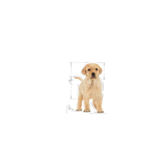 Royal Canin Labrador Retriever Puppy saco lateral