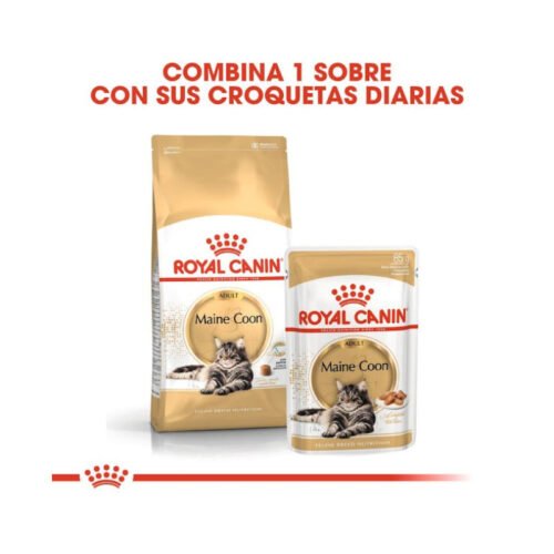 Gráfico sobre alimentación mixta Royal Canin Maine Coon Adult