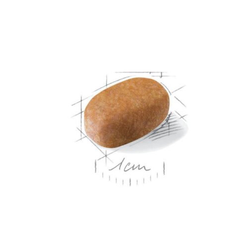Royal Canin Maltese Adult lateral del envase