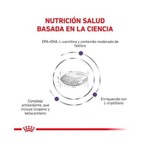 composición analítica pienso Royal Canin Mature Consult Medium Dog