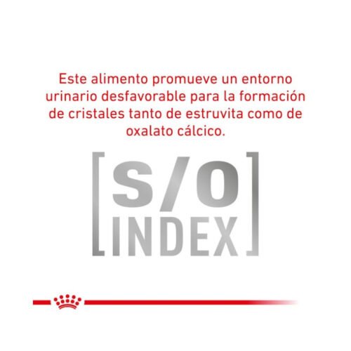 indicaciones Royal Canin Mature Consult Paté