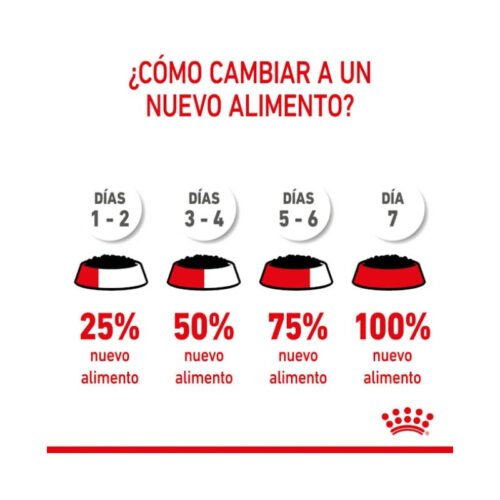 pack individual Royal Canin Mini Puppy