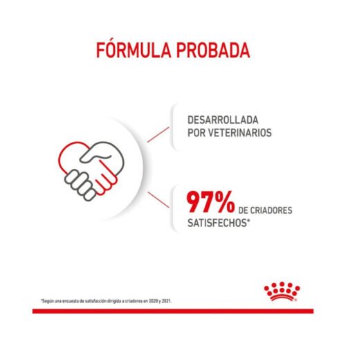 Royal Canin Mini Starter fórmula probada por veterinarios
