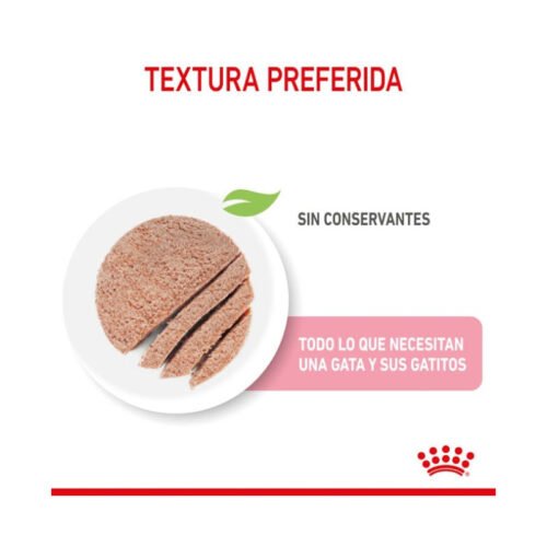 Lata inclinada comida húmeda Royal Canin Mother & Babycat