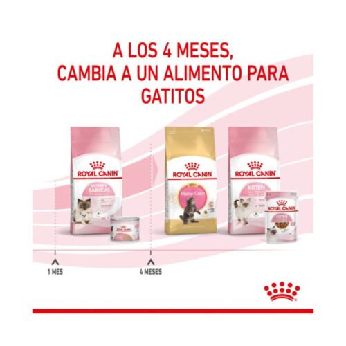 Lata lateral comida húmeda Royal Canin Mother & Babycat