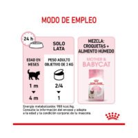 Lata trasera comida húmeda Royal Canin Mother & Babycat