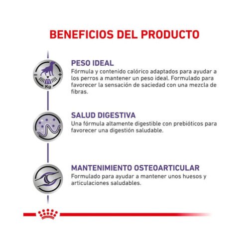 guía de raciones Royal Canin Neutered Adult Large Dog