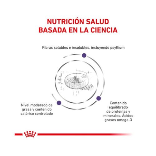 presentación Royal Canin Neutered Adult Large Dog croquetas marrones