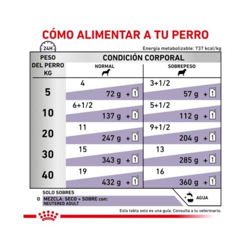 Royal Canin Neutered Adult Finas Láminas en Salsa beneficios nutricionales
