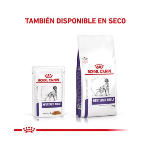 Royal Canin Neutered Adult Finas Láminas en Salsa ingredientes y composición