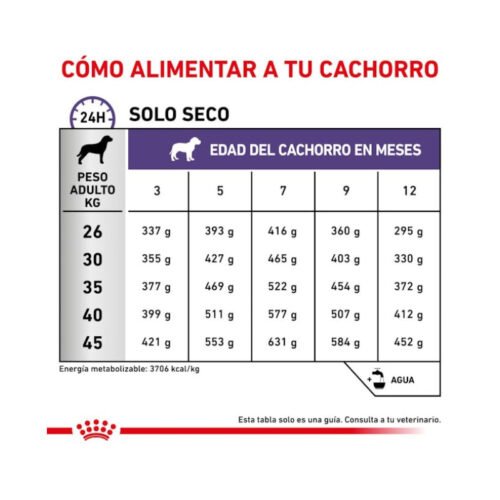 Tabla de racionamiento pienso Royal Canin Neutered Junior Large Dog