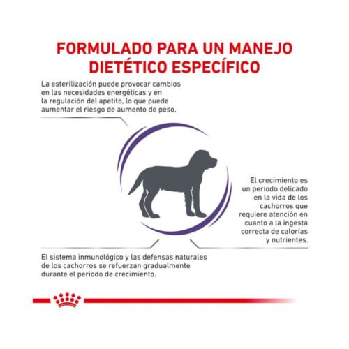 Bolsa detalle pienso Royal Canin Neutered Junior
