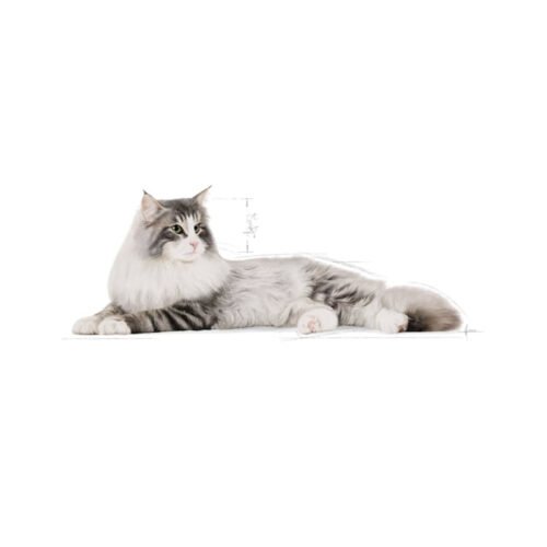 Parte inferior del envase Royal Canin Norwegian Forest Cat Adult