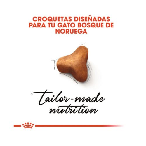 Folleto Royal Canin Norwegian Forest Cat Adult