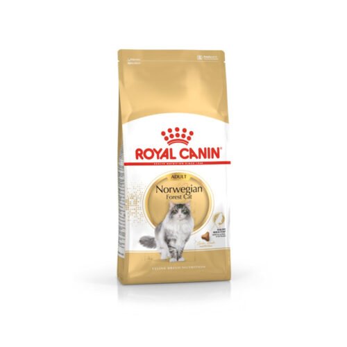 Pack frontal del saco Royal Canin Norwegian Forest Cat Adult