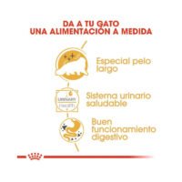 Beneficios nutricionales Royal Canin Persian Adult húmedo