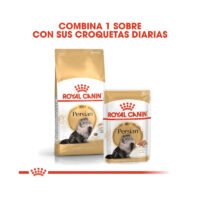 Royal Canin Persian alimentación mixta pienso y sobre húmedo