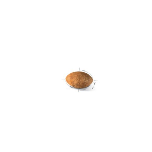 Royal Canin Persian envase secundario