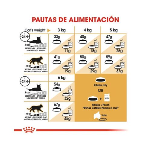 Royal Canin Persian tabla de racionamiento diario