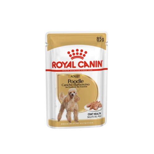 Royal Canin Poodle Adult sobre frontal comida húmeda