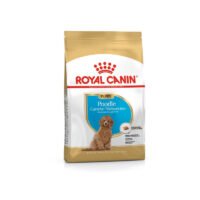 royal-canin-royal-canin-poodle-puppy-perro-cachorro-royal-canin-poodle-puppy Imagen frontal del saco Royal Canin Poodle Puppy