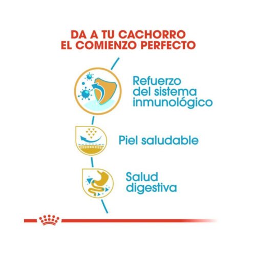 Royal Canin Pug Puppy beneficios nutricionales