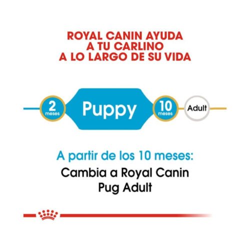 Royal Canin Pug Puppy etapa de crecimiento