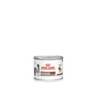 Royal Canin Recovery Mousse Ultra Suave pack frontal perro y gato