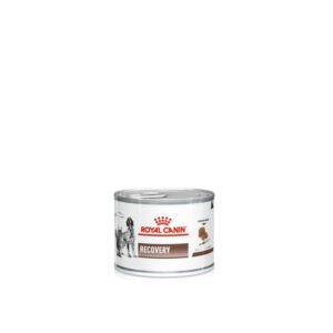 Royal Canin Recovery Mousse Ultra Suave pack frontal perro y gato