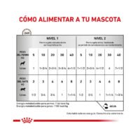 Royal Canin Recovery Mousse Ultra Suave guía de racionamiento