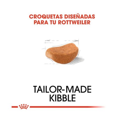 Textura de las croquetas Royal Canin Rottweiler Adult