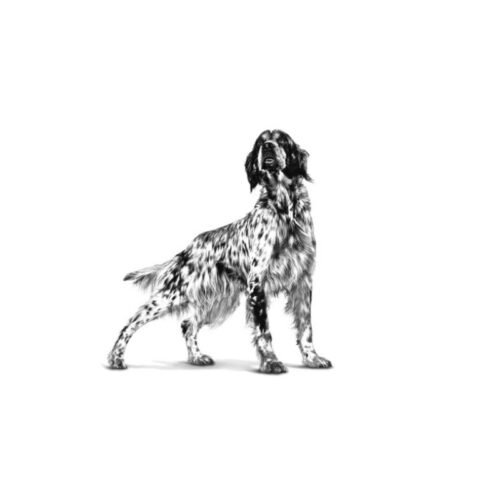 Royal Canin Sensitivity Control (Pato Con Arroz - Paté) pack lateral