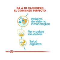 Beneficios del pienso Royal Canin Shih Tzu Puppy