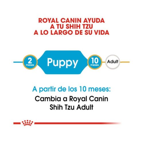 Etapa de crecimiento con Royal Canin Shih Tzu Puppy