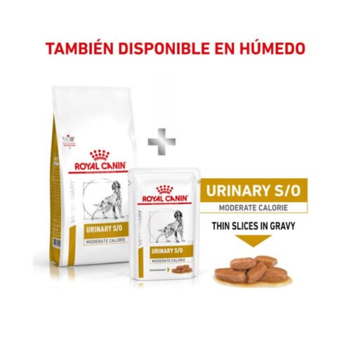 mix feeding húmedo Royal Canin Urinary S/o Moderate Calorie perro