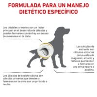 beneficios Royal Canin Urinary S/O perro