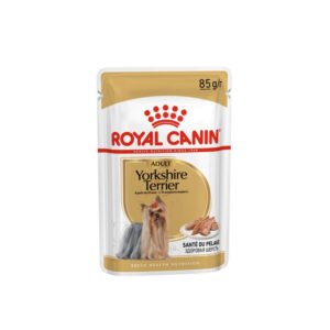 Royal Canin Yorkshire Terrier Adult sobre frontal comida húmeda