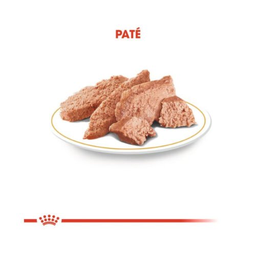 Textura Royal Canin Yorkshire Terrier Adult comida húmeda