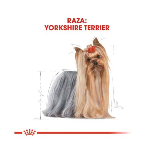 Imagen de la composición nutricional Royal Canin Yorkshire Terrier Adult
