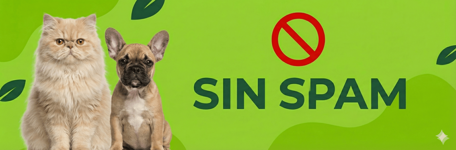 Sin spam, solo valor en la newsletter