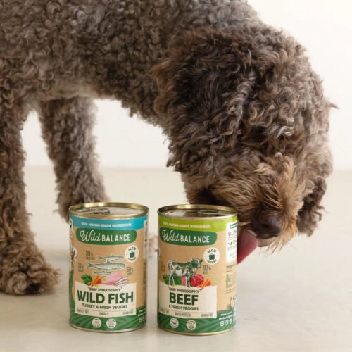 Perro comiendo Wild Balance latas BARF ternera y wild fish