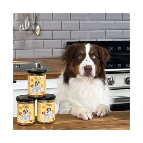 Alimentación natural para perros de todas las razas. Perro esperando su menú Fidelis Pato