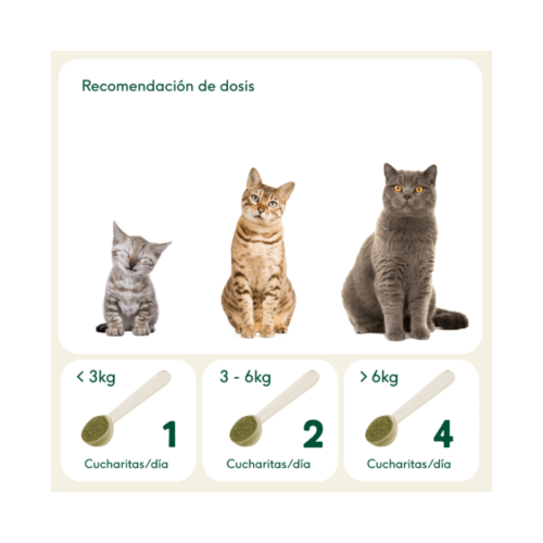 Tabla de dosificación de suplemento articular para gatos por peso