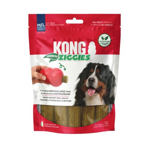 KONG Ziggies snack dental para perros